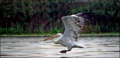 Romania-Danube Delta Romania Danube Delta